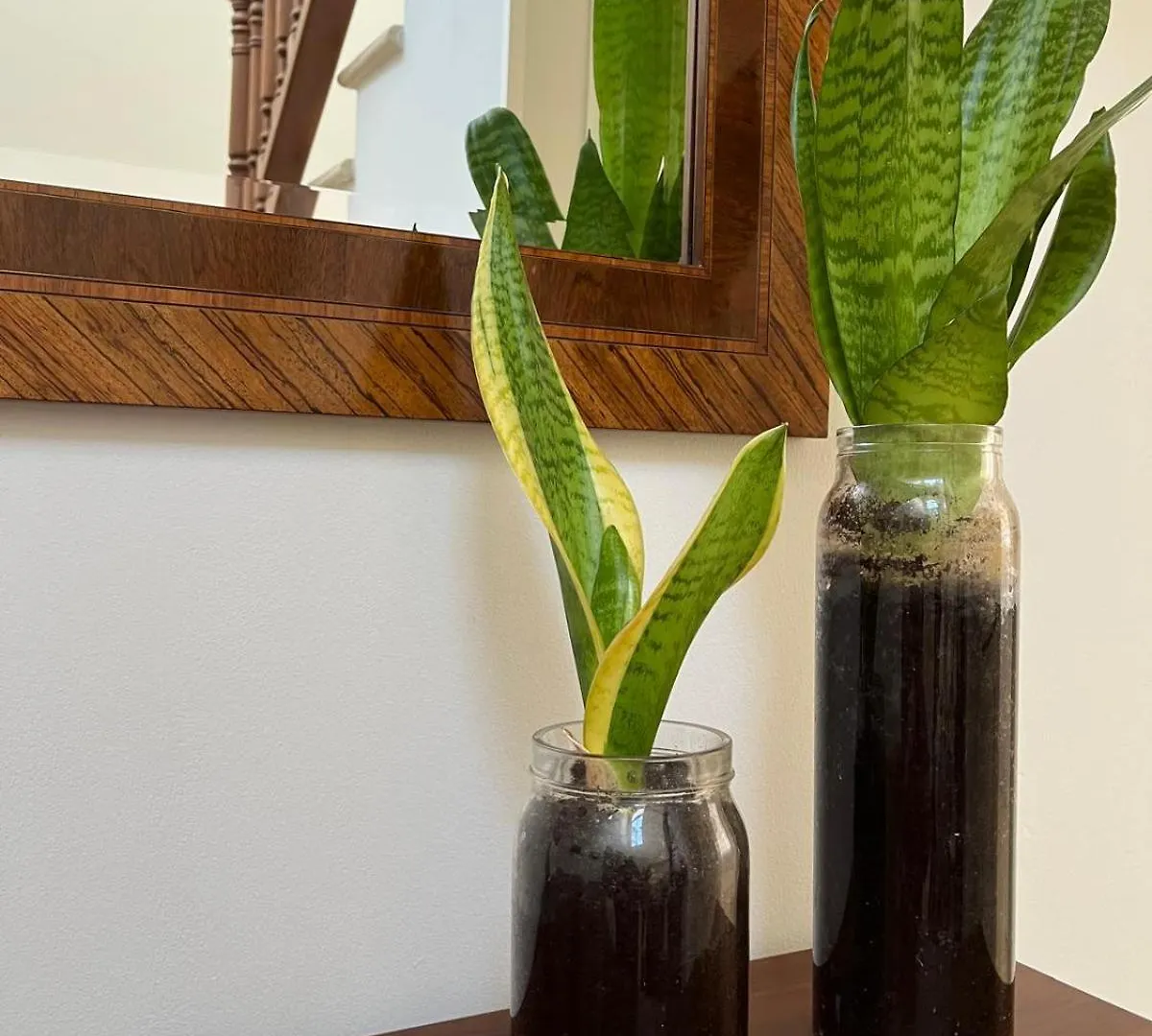 Brisa Vacacional - Adults Only Apartment Corralejo